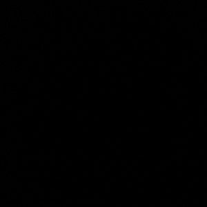 Meet your Posher, Bella